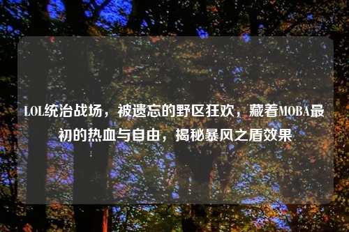 LOL统治战场，被遗忘的野区狂欢，藏着MOBA最初的热血与自由，揭秘暴风之盾效果
