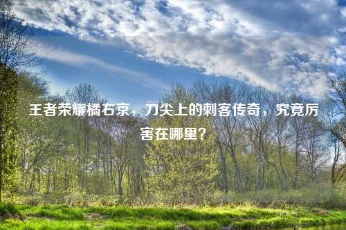 王者荣耀橘右京，刀尖上的刺客传奇，究竟厉害在哪里？
