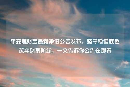 平安理财宝最新净值公告发布，坚守稳健底色筑牢财富防线，一文告诉你公告在哪看