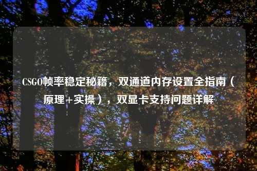 CSGO帧率稳定秘籍，双通道内存设置全指南（原理+实操），双显卡支持问题详解