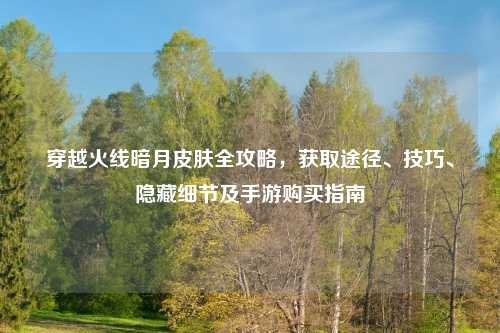 穿越火线暗月皮肤全攻略，获取途径、技巧、隐藏细节及手游购买指南