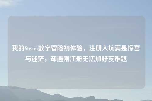 我的Steam数字冒险初体验，注册入坑满是惊喜与迷茫，却遇刚注册无法加好友难题