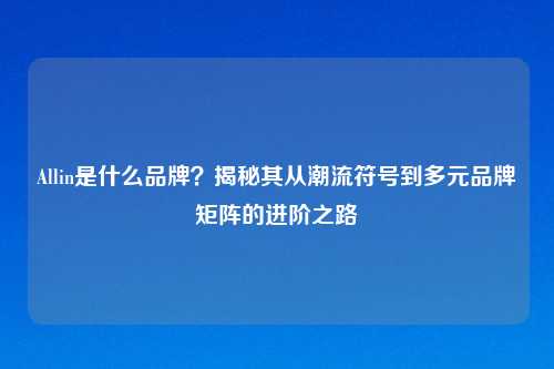 Allin是什么品牌？揭秘其从潮流符号到多元品牌矩阵的进阶之路