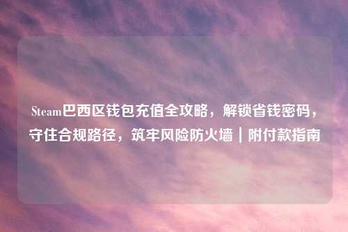 Steam巴西区钱包充值全攻略，解锁省钱密码，守住合规路径，筑牢风险防火墙｜附付款指南