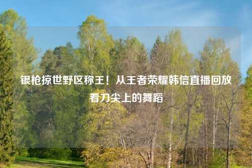 银枪掠世野区称王！从王者荣耀韩信直播回放看刀尖上的舞蹈