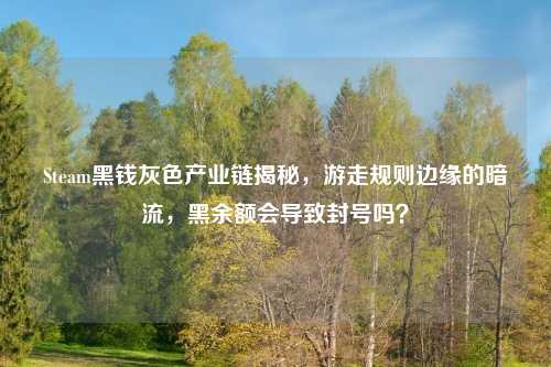 Steam黑钱灰色产业链揭秘，游走规则边缘的暗流，黑余额会导致封号吗？