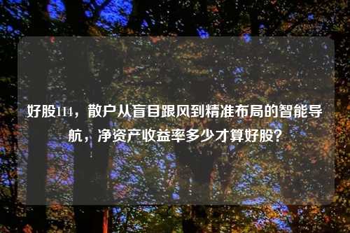 好股114，散户从盲目跟风到精准布局的智能导航，净资产收益率多少才算好股？