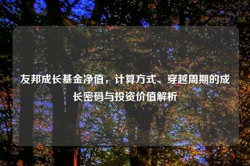 友邦成长基金净值，计算方式、穿越周期的成长密码与投资价值解析