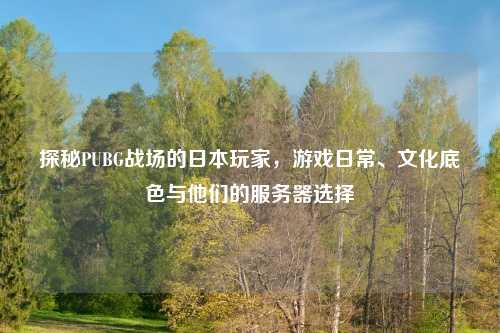 探秘PUBG战场的日本玩家，游戏日常、文化底色与他们的服务器选择