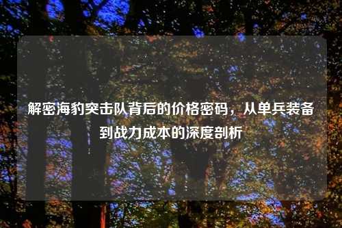 解密海豹突击队背后的价格密码，从单兵装备到战力成本的深度剖析