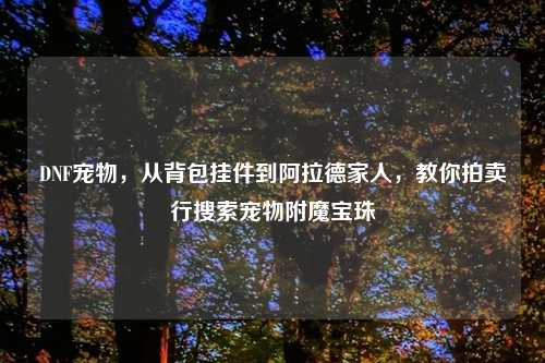 DNF宠物，从背包挂件到阿拉德家人，教你拍卖行搜索宠物附魔宝珠