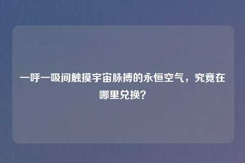 一呼一吸间触摸宇宙脉搏的永恒空气，究竟在哪里兑换？