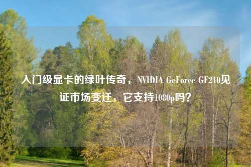 入门级显卡的绿叶传奇，NVIDIA GeForce GF210见证市场变迁，它支持1080p吗？