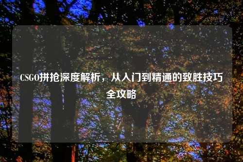 CSGO拼抢深度解析，从入门到精通的致胜技巧全攻略