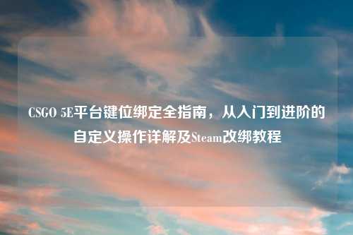 CSGO 5E平台键位绑定全指南，从入门到进阶的自定义操作详解及Steam改绑教程