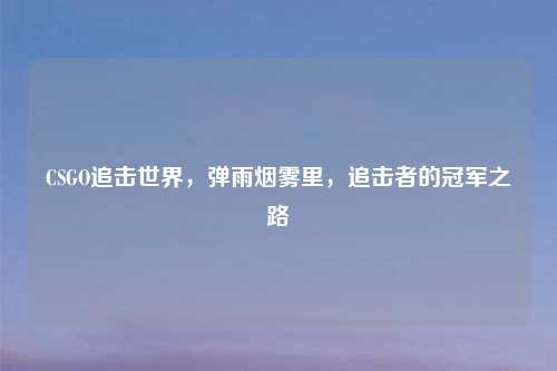 CSGO追击世界，弹雨烟雾里，追击者的冠军之路