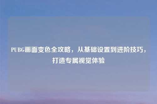 PUBG画面变色全攻略，从基础设置到进阶技巧，打造专属视觉体验