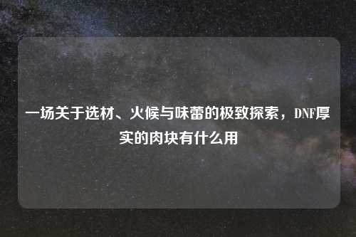 一场关于选材、火候与味蕾的极致探索，DNF厚实的肉块有什么用