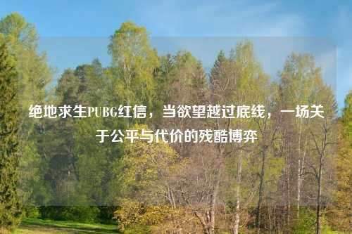 绝地求生PUBG红信，当欲望越过底线，一场关于公平与代价的残酷博弈