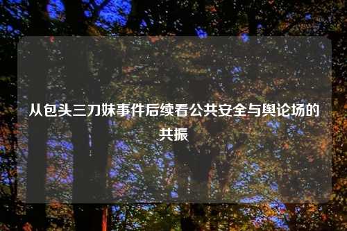 从包头三刀妹事件后续看公共安全与舆论场的共振