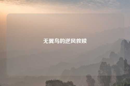 无翼鸟的逆风救赎