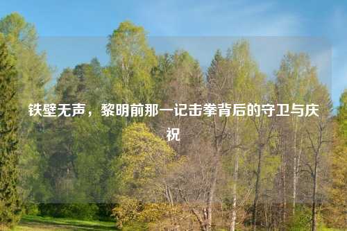 铁壁无声，黎明前那一记击拳背后的守卫与庆祝