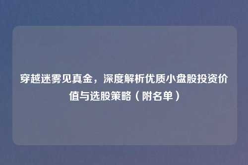 穿越迷雾见真金，深度解析优质小盘股投资价值与选股策略（附名单）