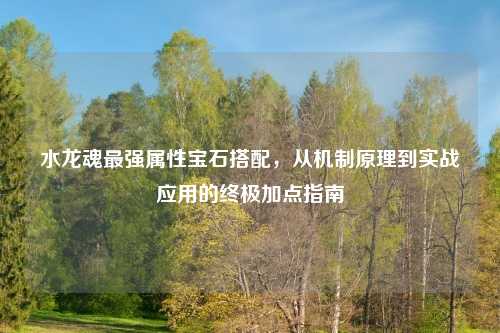 水龙魂最强属性宝石搭配，从机制原理到实战应用的终极加点指南