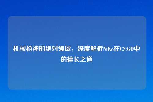 机械枪神的绝对领域，深度解析NiKo在CS:GO中的擅长之道
