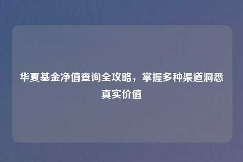 华夏基金净值查询全攻略，掌握多种渠道洞悉真实价值
