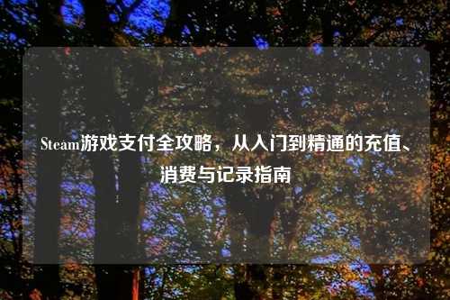 Steam游戏支付全攻略，从入门到精通的充值、消费与记录指南