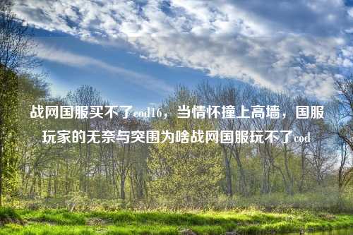 战网国服买不了cod16，当情怀撞上高墙，国服玩家的无奈与突围为啥战网国服玩不了cod