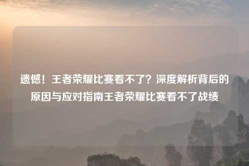 遗憾！王者荣耀比赛看不了？深度解析背后的原因与应对指南王者荣耀比赛看不了战绩
