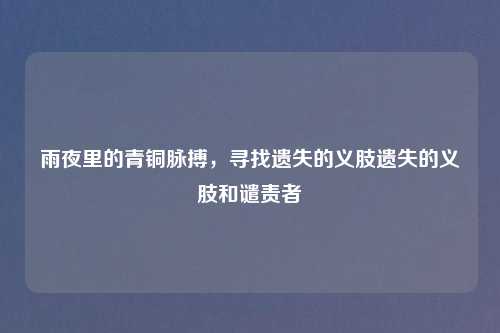雨夜里的青铜脉搏，寻找遗失的义肢遗失的义肢和谴责者
