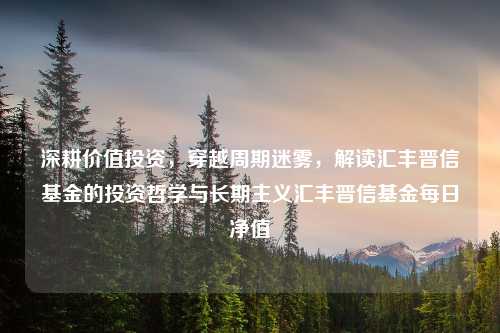 深耕价值投资，穿越周期迷雾，解读汇丰晋信基金的投资哲学与长期主义汇丰晋信基金每日净值