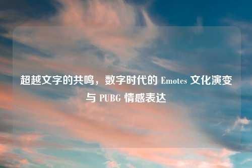 超越文字的共鸣，数字时代的 Emotes 文化演变与 PUBG 情感表达