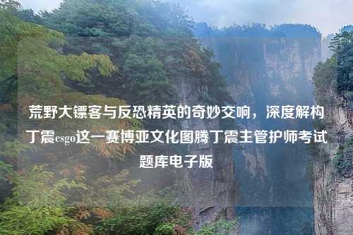 荒野大镖客与反恐精英的奇妙交响，深度解构丁震csgo这一赛博亚文化图腾丁震主管护师考试题库电子版
