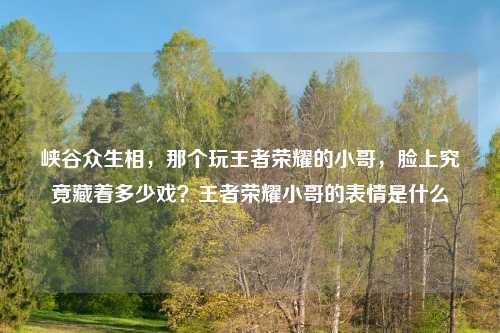 峡谷众生相，那个玩王者荣耀的小哥，脸上究竟藏着多少戏？王者荣耀小哥的表情是什么