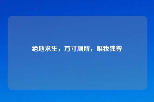 绝地求生，方寸厕所，唯我独尊