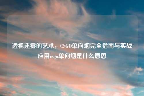 透视迷雾的艺术，CSGO单向烟完全指南与实战应用csgo单向烟是什么意思