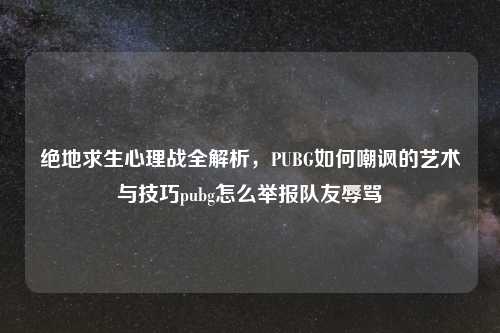 绝地求生心理战全解析，PUBG如何嘲讽的艺术与技巧pubg怎么举报队友辱骂