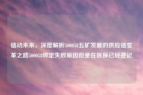 链动未来，深度解析500058五矿发展的供应链变革之路500058绑定失败原因但是在医保已经登记