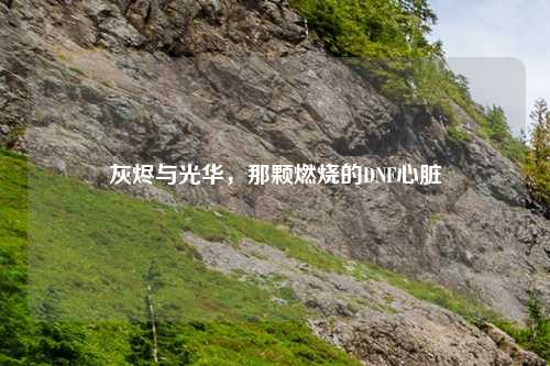 灰烬与光华，那颗燃烧的DNF心脏
