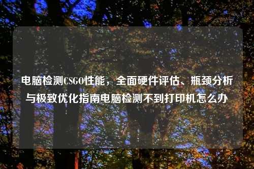 电脑检测CSGO性能，全面硬件评估、瓶颈分析与极致优化指南电脑检测不到打印机怎么办