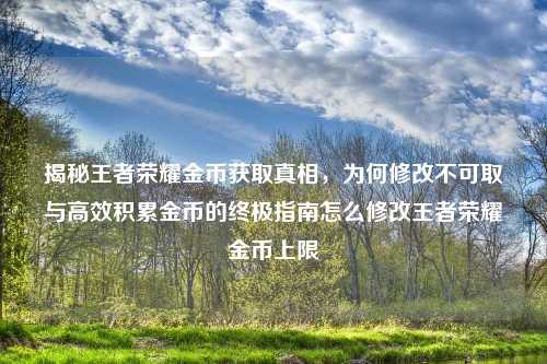 揭秘王者荣耀金币获取真相，为何修改不可取与高效积累金币的终极指南怎么修改王者荣耀金币上限