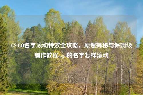 CS:GO名字滚动特效全攻略，原理揭秘与保姆级     教程csgo的名字怎样滚动
