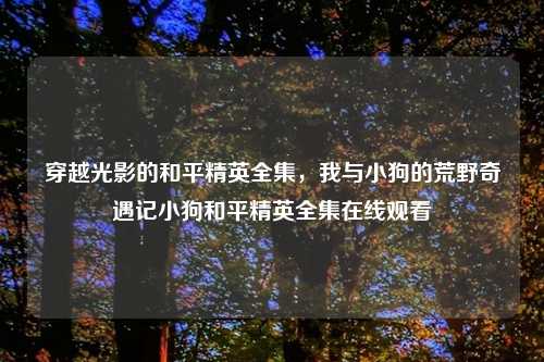 穿越光影的和平精英全集，我与小狗的荒野奇遇记小狗和平精英     观看
