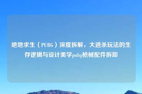 绝地求生（PUBG）深度拆解，大逃杀玩法的生存逻辑与设计美学pubg枪械配件拆卸