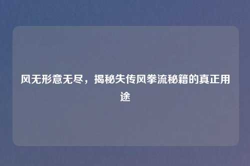 风无形意无尽，揭秘失传风拳流秘籍的真正用途