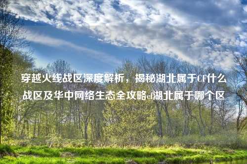 穿越火线战区深度解析，揭秘湖北属于CF什么战区及华中     生态全攻略cf湖北属于哪个区